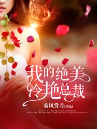 我的绝美冷艳总裁乘风赏月
