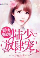 娇妻盛宠陆少超宠哒
