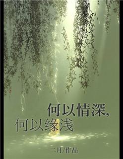何以缘浅奈何情深什么意思