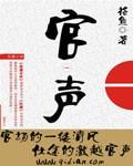 官声之权力巅峰程竹版的