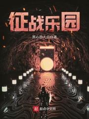 征战乐园魂之卫队