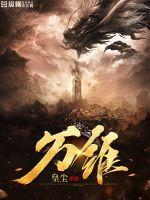 万维网是什么