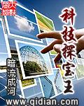 探宝的游戏