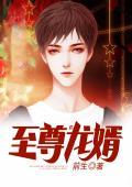 至尊龙婿叶辰萧初然全文免费阅读huup