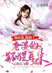 洞房夜摸到了老婆的狐狸耳朵结局