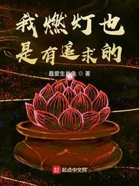 我燃灯也是有追求的 无弹窗