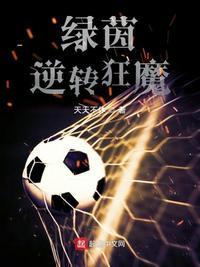 足坛神锋