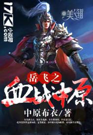 岳飞血战中原全文阅读