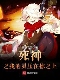 死神之灵压无限全本