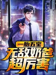 一胎六宝爸比好厉害电视剧