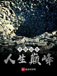 开局站在人生巅峰未删减