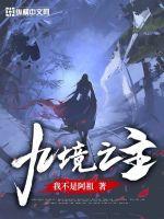九境是什么意思