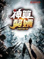神算赘婿虾仁动画在线观看