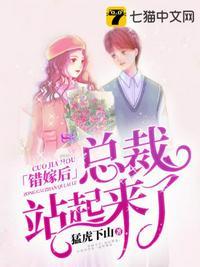 错嫁结婚总裁