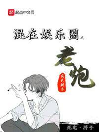 混在娱乐圈之老炮中