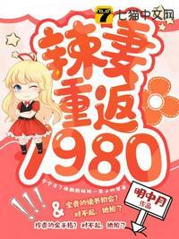 辣妻重返1980短剧