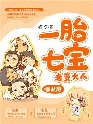 一胎七宝老婆大人哪里跑正版