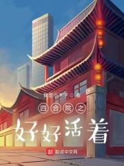 四合院之好好活着丁秋南