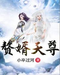 赘婿天帝全文阅读