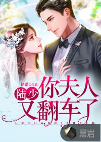陆少夫人又撩又飒
