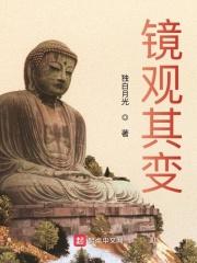 镜观其变写完了没
