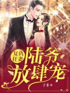 洛晚宁宋辞原著结局