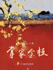掌家全文免费阅读全文