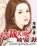 总裁大哥
