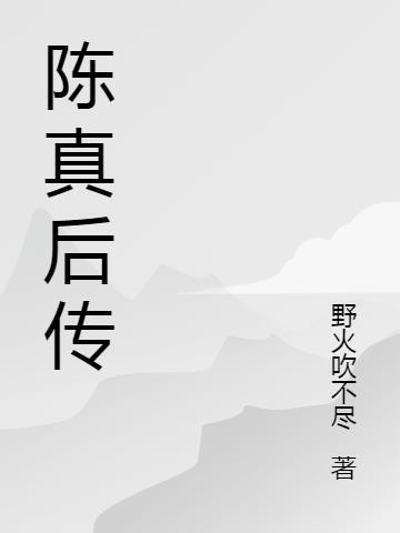 陈真后传07