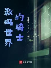 数码世界的骑士宁疯子