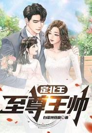 韶华若锦第几集知道定北王