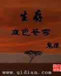 动画片血色苍穹