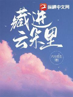 藏进云朵里TXT百度资源