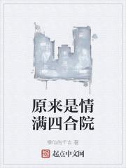 四合院写得最好的长篇