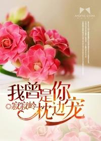 我曾是你枕边宠全文免费