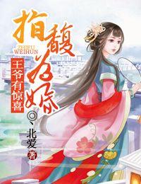 指腹为婚王爷有惊喜txt
