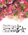 一品宫运