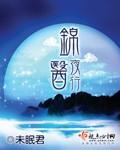 医锦夜行全文阅读