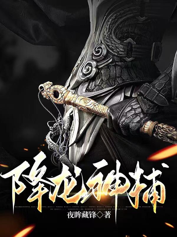 降龙神掌苏乞儿在线观看视频
