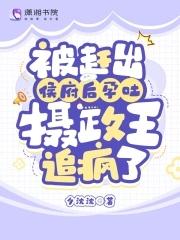 摄政王追疯了还有别的书名么