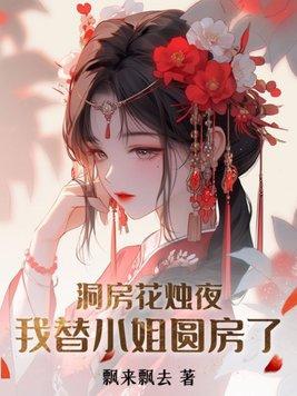 我替小姐圆房了无删减