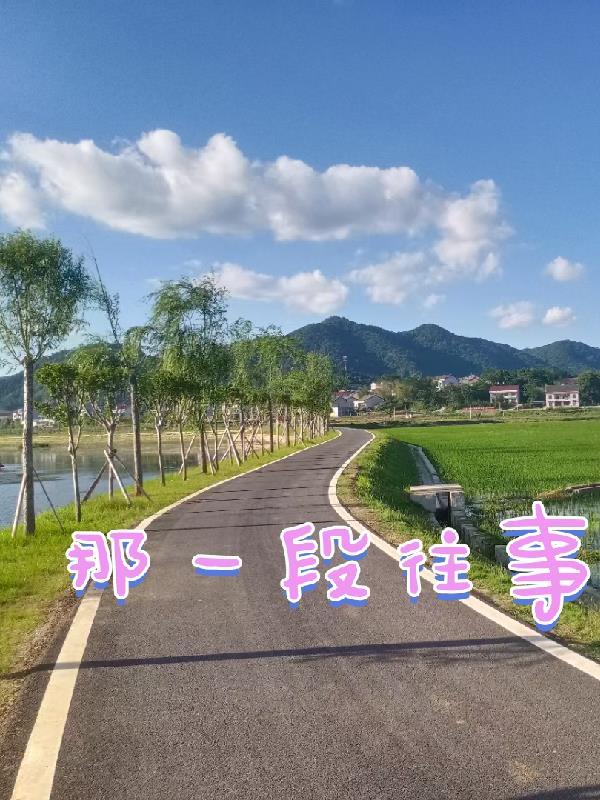 那一段往事的追忆目录