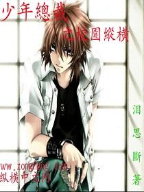 少年总裁之校园纵横txt