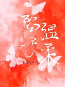 哪本男主角叫雷霆