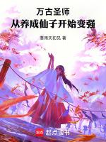 万古最强圣师