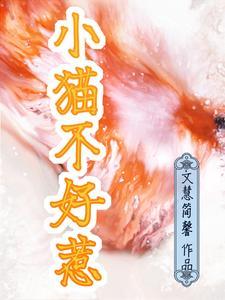 小猫为什么不好