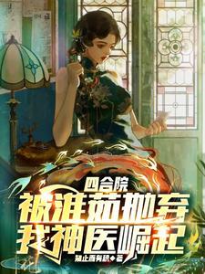 买四合院的