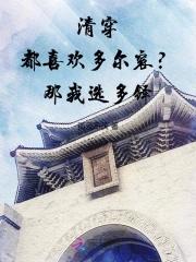 写多尔衮的清穿
