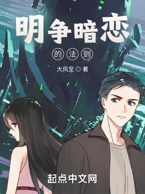 明争暗夺什么意思