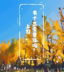 领导不谈恋爱